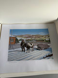 Newfoundland Art - thumbnail 16 of 23