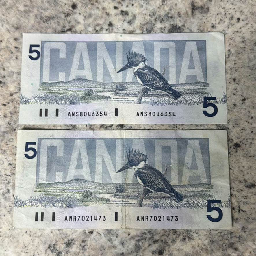 $82 In Canadian Currency - image 3 of 21