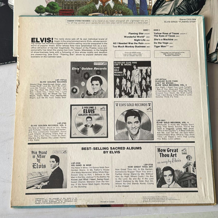Elvis Records And More - image 3 of 15