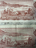$7 In Canadian Currency - thumbnail 12 of 12