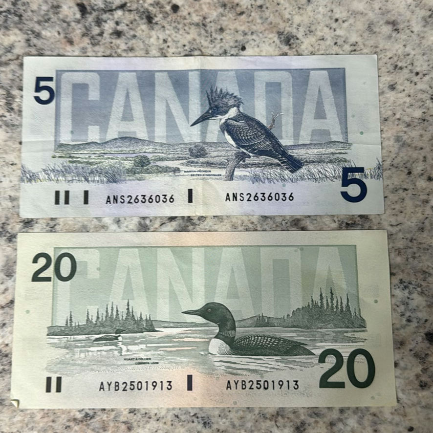 $57 In Canadian Currency - image 3 of 19
