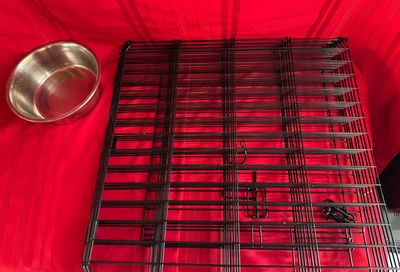 Folding Wire Dog Crate & Heavy-Duty Stainless Steel Bowl - Image 1 of 4