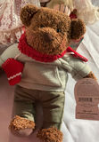 Assorted Teddy Bears and Plush Toys - thumbnail 2 of 10