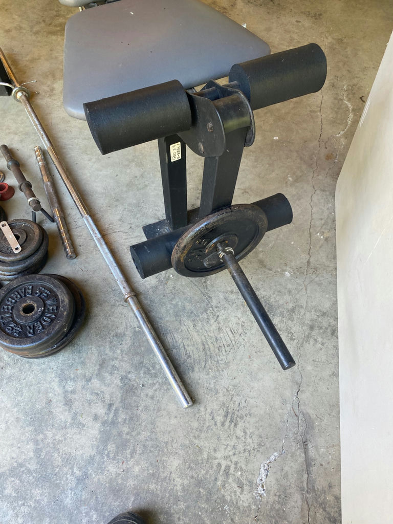 Weight Bench and Weights - image 1 of 5