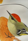 Collection of children's picture books, Go Fish game, and animal puzzles - thumbnail 4 of 11