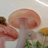 Mushroom Art - thumbnail 2 of 6
