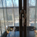 Metal & Glass Plant Etagere / Terrarium - thumbnail 4 of 7