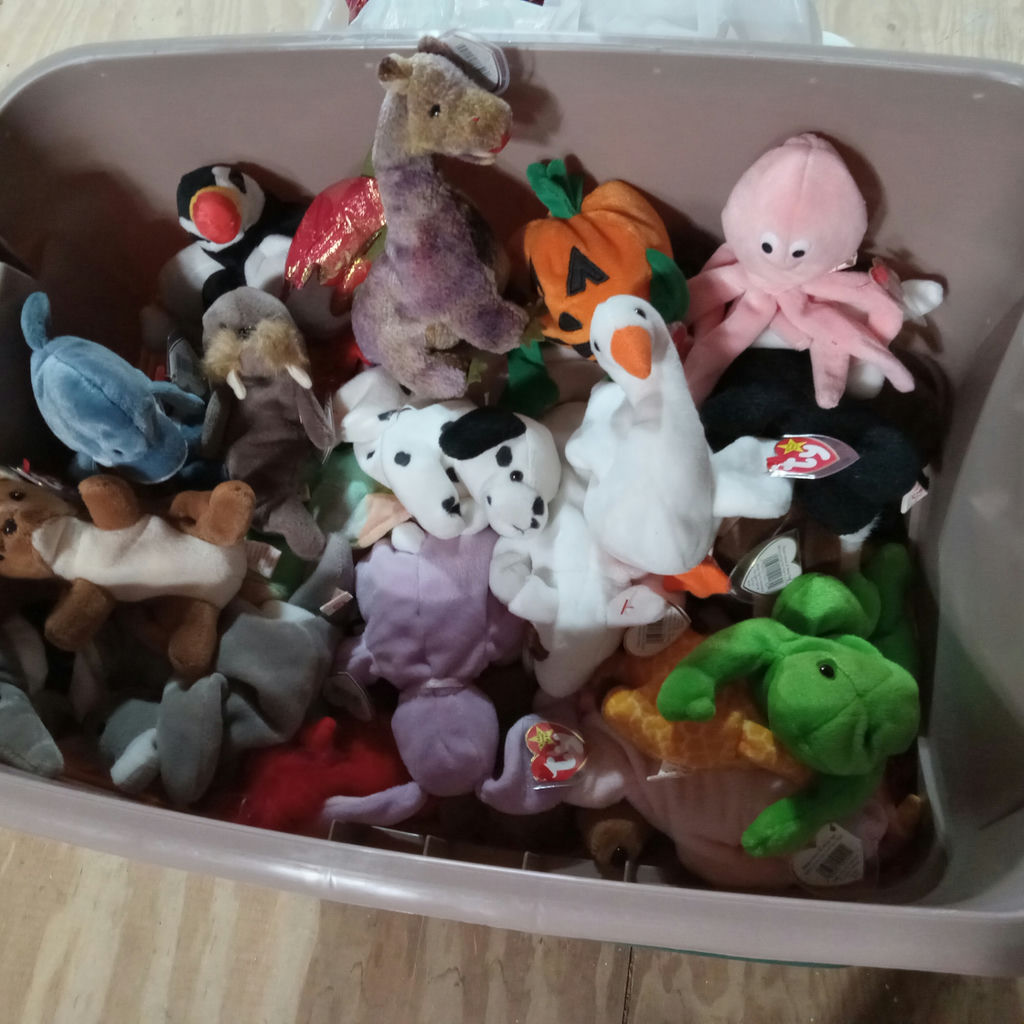 Tub O' Beanie Babies - image 1 of 5