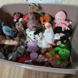 Tub O' Beanie Babies - thumbnail 1 of 5
