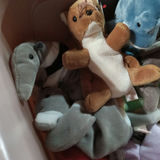 Tub O' Beanie Babies - thumbnail 4 of 5