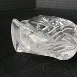 Crystal Fish Decor - thumbnail 6 of 11