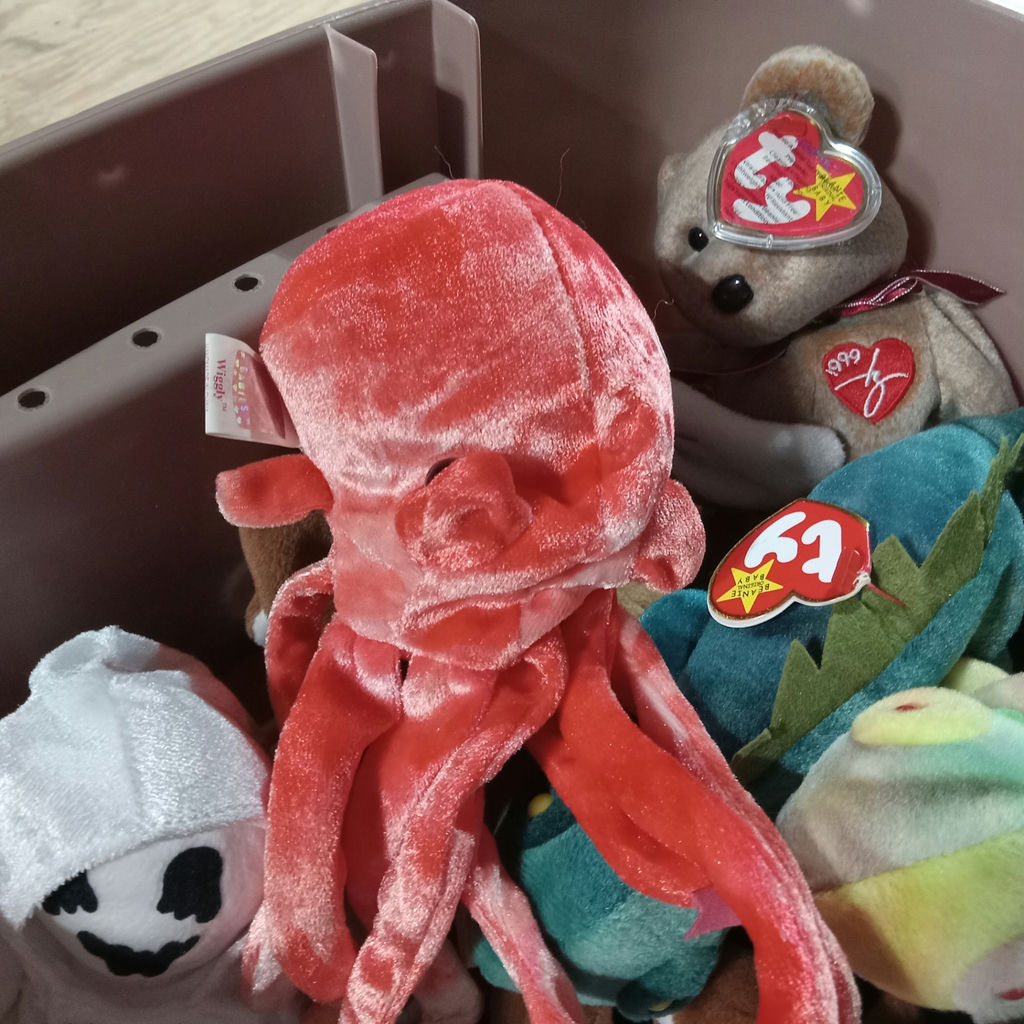 Another Tub O' Beanie Babies - image 6 of 6