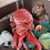 Another Tub O' Beanie Babies - thumbnail 6 of 6