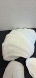 Seashells - thumbnail 2 of 8