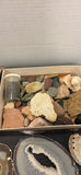 Mixed Rocks, Mineral Slices, Shells, and Coral Specimens - thumbnail 4 of 6