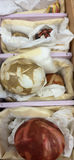 Decorated Eggs - thumbnail 6 of 7