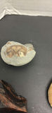 Polished Stones and Mineral Specimens - thumbnail 5 of 12