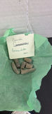 Fossils and Sedimentary Rock Samples - thumbnail 12 of 12