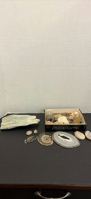 Mixed Rocks, Mineral Slices, Shells, and Coral Specimens - Image 1 of 6