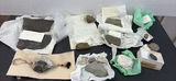 Fossils and Sedimentary Rock Samples - thumbnail 1 of 12