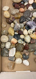 Polished Stones and Gemstones - thumbnail 3 of 7