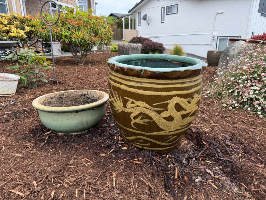 Vintage Asian Dragon Egg Pot & Sage Green Bonsai Succulent Bowl Set - image 1 of 3