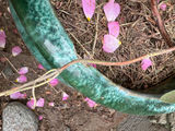 Wind Chime and Ceramic Planters - thumbnail 4 of 7