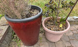Large Glazed and Terracotta Resin Planters - thumbnail 1 of 3