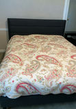 Queen Bed Mattress and frame, comforter - thumbnail 1 of 7