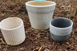 Mixed Garden Planter Lot - thumbnail 2 of 5