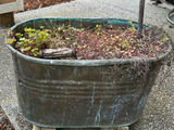 Vintage Wash Tub Planter - thumbnail 2 of 2