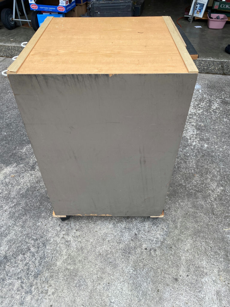 Cabinet on Wheels - image 5 of 5