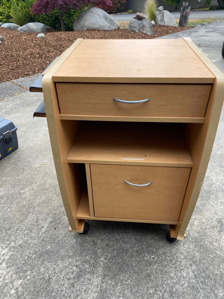 Cabinet on Wheels - image 1 of 5