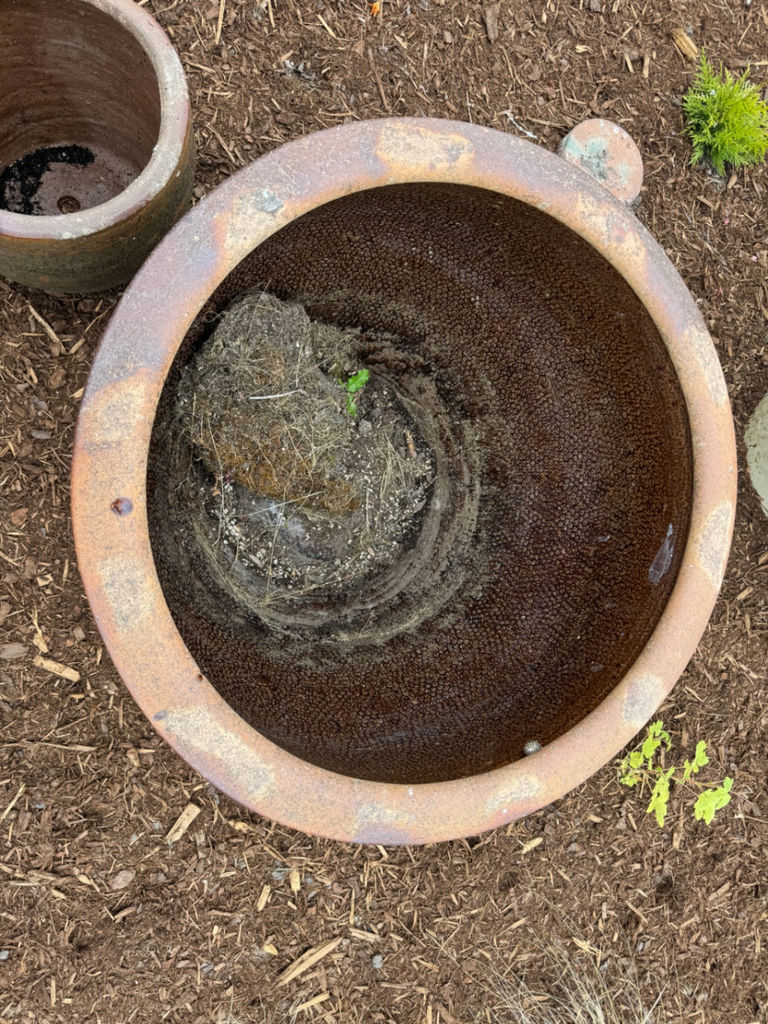 Premium Glazed Ceramic Garden Pots  - image 4 of 4