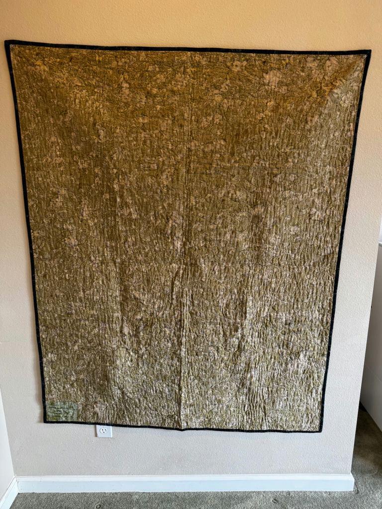Artisan Quilts and Throw Pillows - image 3 of 9
