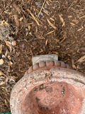Mixed Garden Planter Lot - thumbnail 5 of 5