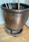 House Plant In Large Gold Ceramic Pot - thumbnail 2 of 4