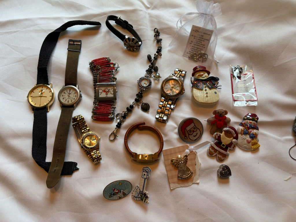 Watch Lot and Pins - image 1 of 3