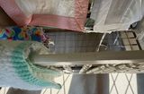 Baby Crib, Guard Rails, Blankets - thumbnail 2 of 3