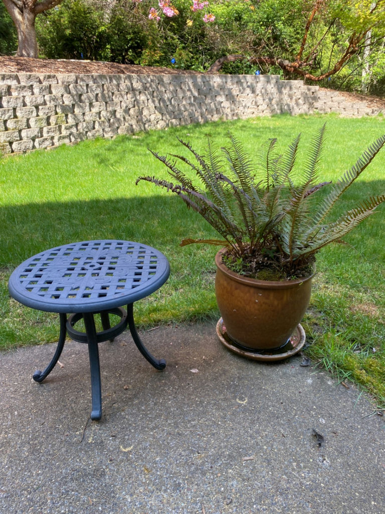Outdoor Table and Pot With Fern - image 1 of 4