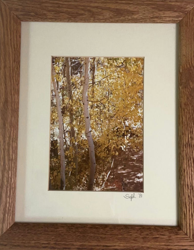 Trio Of Small Framed Tree Art - image 2 of 10