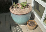 Two Ceramic Planters - thumbnail 2 of 3