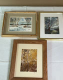 Trio Of Small Framed Tree Art - thumbnail 1 of 10