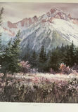 Signed Photograph And Limited Edition Signed Print Mountains - thumbnail 9 of 11