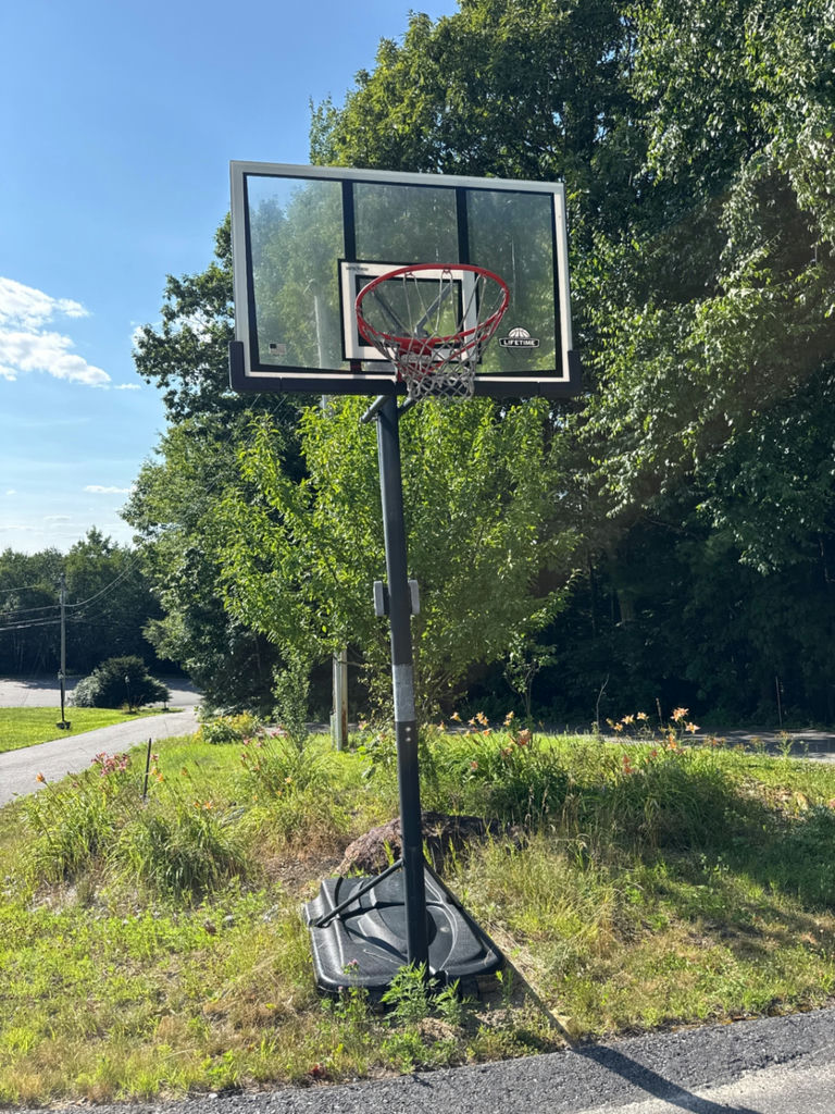Lifetime Portable basketball hoop system - image 2 of 4