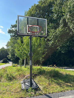 Lifetime Portable basketball hoop system - Image 1 of 4