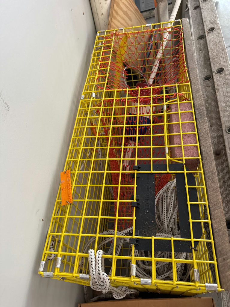 Fisherman’s Yellow wire-mesh cage with interior red netting - image 1 of 3