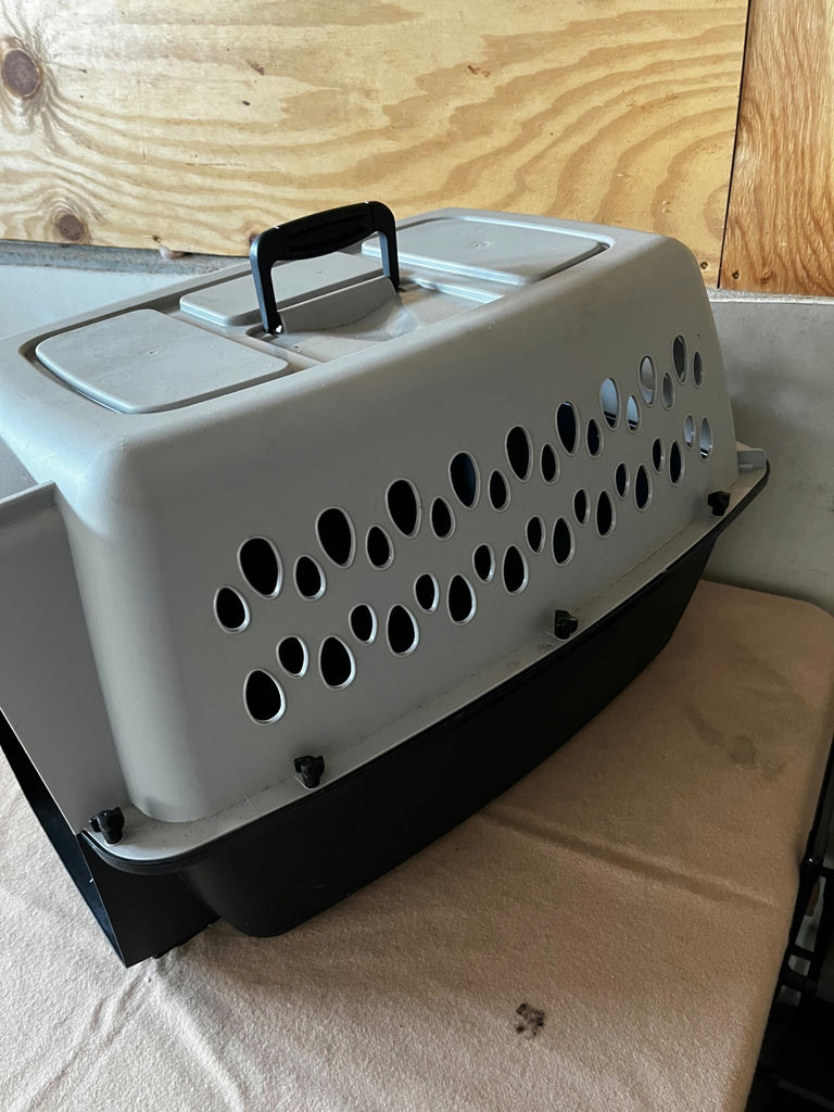 Plastic pet carrier with metal grille door - image 4 of 4