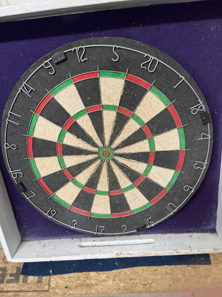 Dartboard with Dart Tips - image 1 of 2