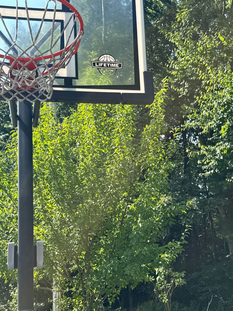 Lifetime Portable basketball hoop system - image 3 of 4